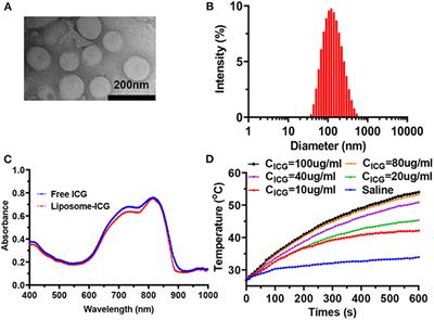 Supramolecular Photothermal Nanomedicine Mediated Distant Tumor Inhibition via PD-1 and TIM-3 Blockage